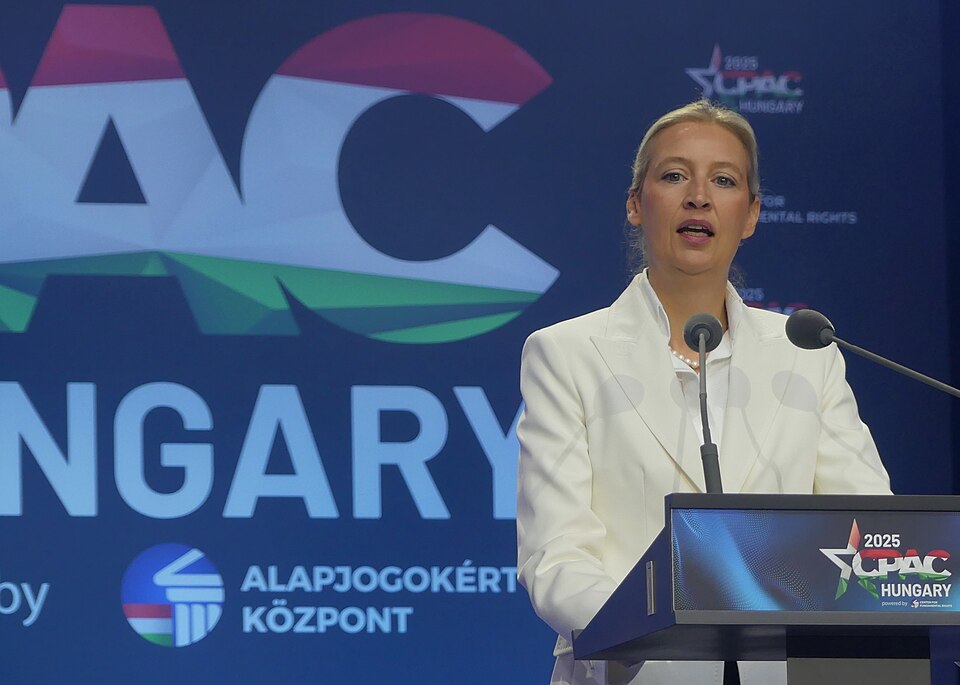 Alice Weidel Vows 'Largest Deportation' in German History During Campaign Speech
